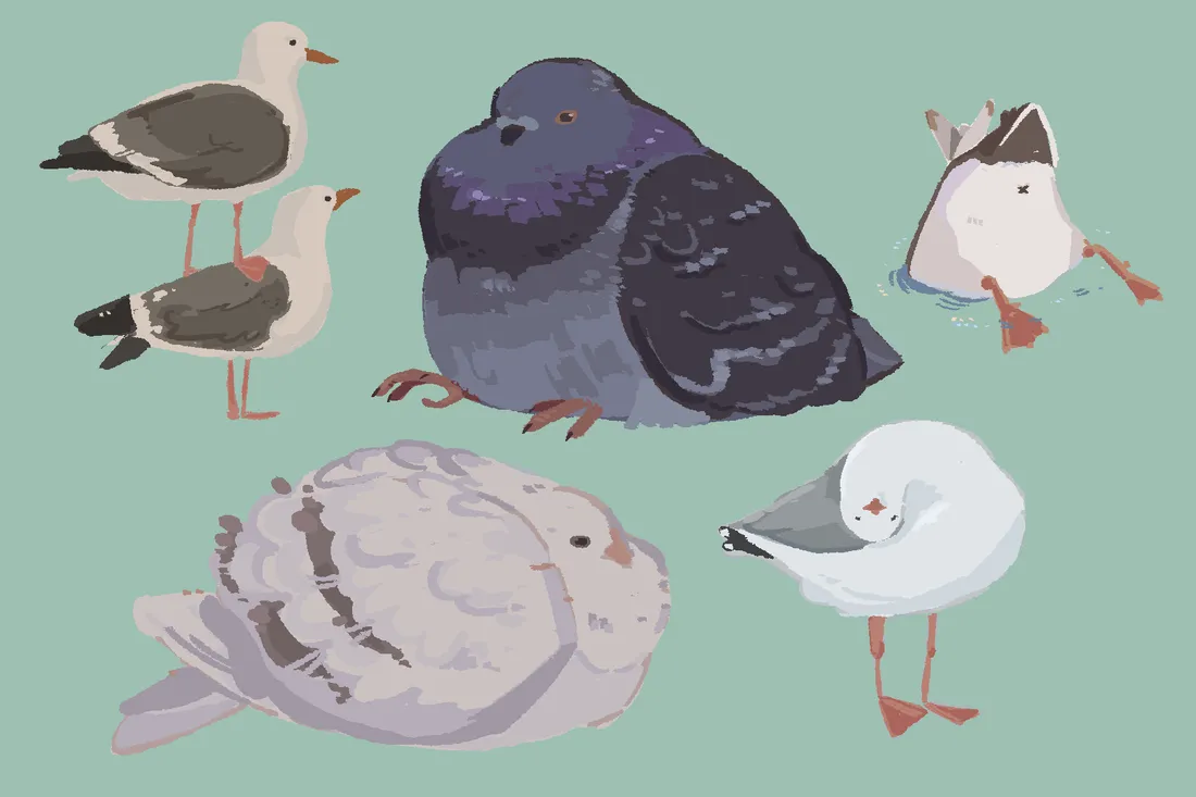 Viiviiy Birds